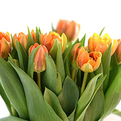 Blumenstrauß